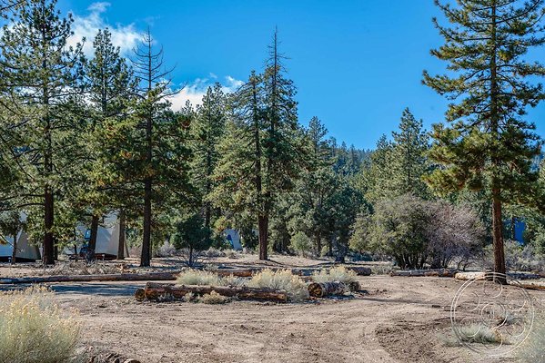 camp-frazier-31 camp-frazier-31