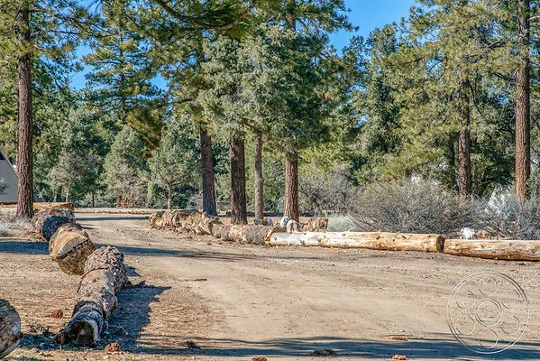 camp-frazier-42 camp-frazier-42