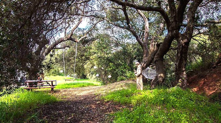 SHR+Airst+9 SHR+Airst+9