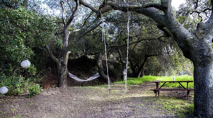 SHR+Airst+10 SHR+Airst+10