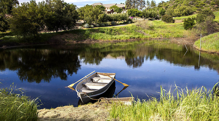 SHR+Pond+1 SHR+Pond+1