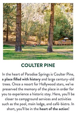 Screenshot 2025-08-29 at 7.03.24 PM