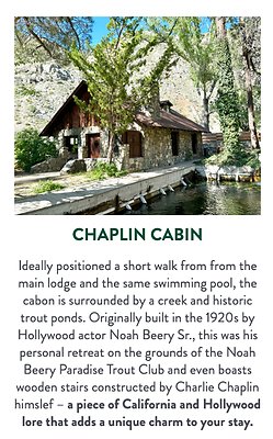 Screenshot 2025-08-29 at 7.03.28 PM