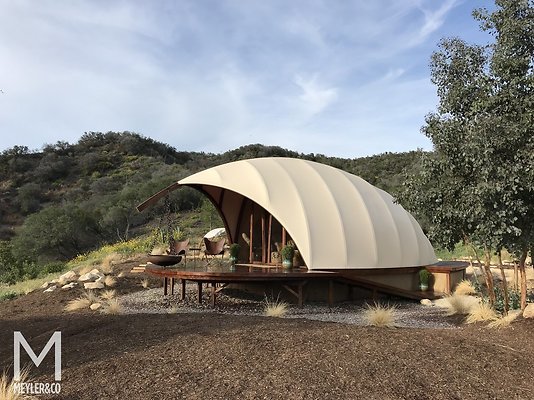 Meyler 3407 002  x Meyler 3407 002  x