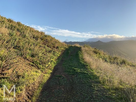 meyler 3407 042 meyler 3407 042