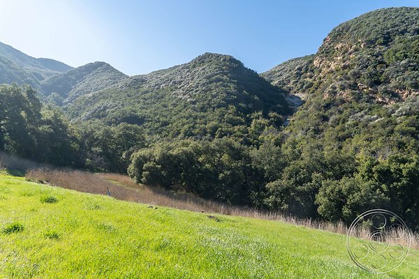 topanga-retreat-4 topanga-retreat-4