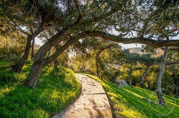 topanga-retreat-29 topanga-retreat-29