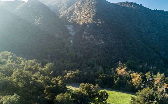 topanga-retreat-45 topanga-retreat-45