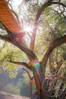 topanga-retreat-23 topanga-retreat-23