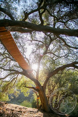 topanga-retreat-22 topanga-retreat-22