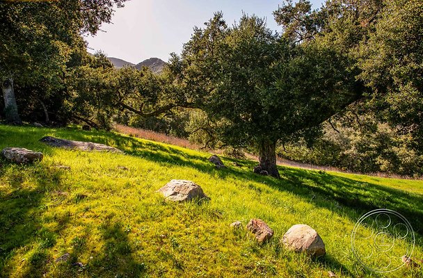 topanga-retreat-25 topanga-retreat-25