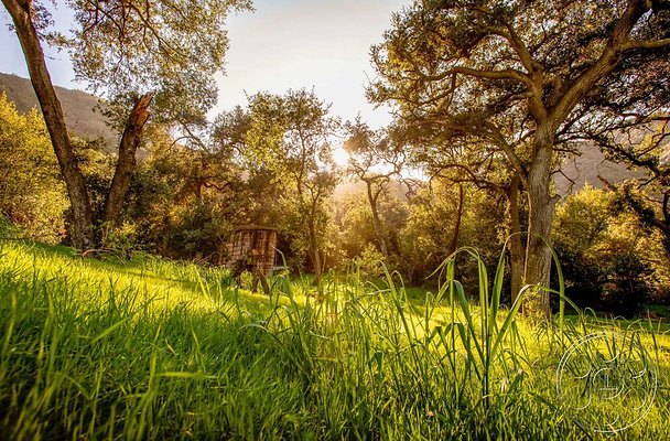 topanga-retreat-30 topanga-retreat-30