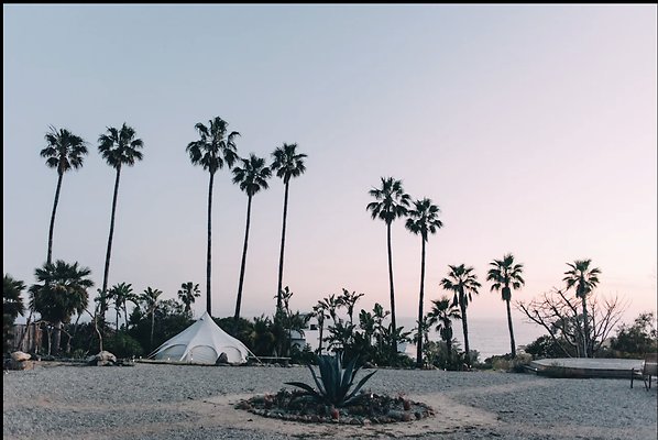 Screenshot 2025-03-29 at 5.19.01 PM Screenshot 2025-03-29 at 5.19.01 PM