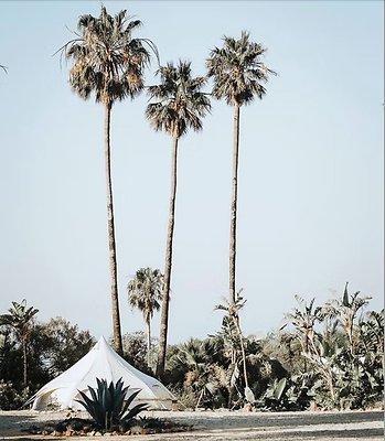 Screenshot 2025-03-29 at 5.25.37 PM Screenshot 2025-03-29 at 5.25.37 PM