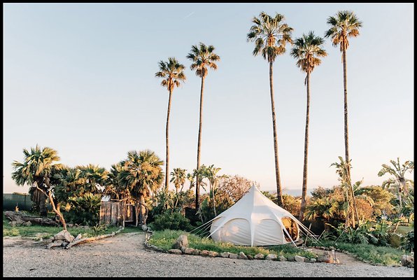 Screenshot 2025-03-29 at 5.15.50 PM  x Screenshot 2025-03-29 at 5.15.50 PM  x