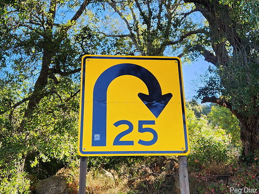 y20231021 093323 y20231021 093323