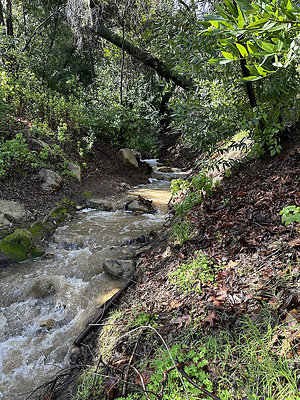 UNIVERSAL-B694-AGH-34