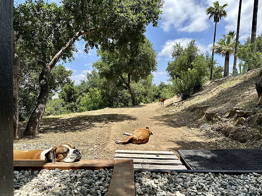 UNIVERSAL-B694-AGH-39