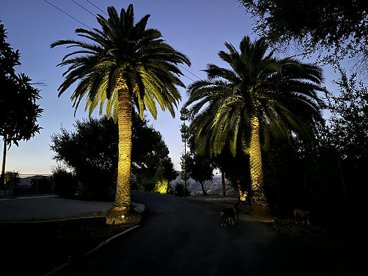 UNIVERSAL-B694-AGH-24