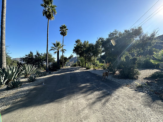 UNIVERSAL-B694-AGH-36