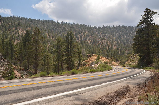 MDR 5941 x MDR 5941 x