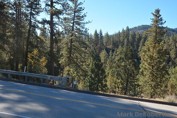 MDR 6971 - 10am MDR 6971 - 10am