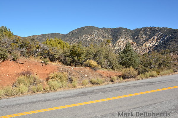 MDR 7116 - 35mm MDR 7116 - 35mm