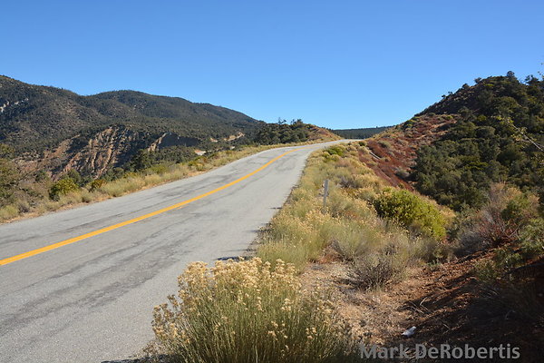 MDR 7117 - 80deg MDR 7117 - 80deg