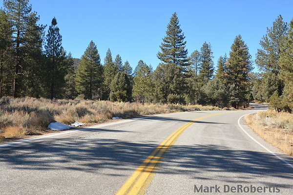 MDR 7217 x MDR 7217 x