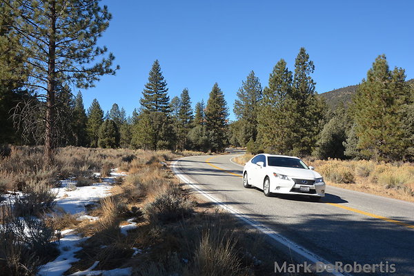 MDR 7204a x MDR 7204a x