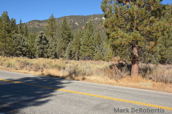 MDR 7198 - 1130am MDR 7198 - 1130am