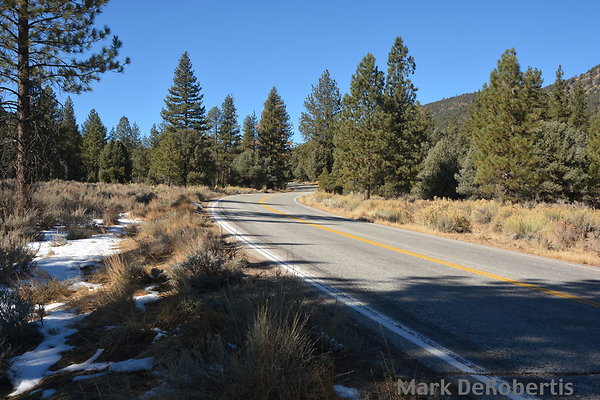 MDR 7197 - 290deg MDR 7197 - 290deg