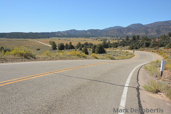 MDR 1317 - 270deg MDR 1317 - 270deg