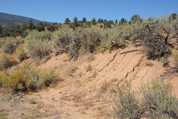 MDR 1318 - 215pm MDR 1318 - 215pm