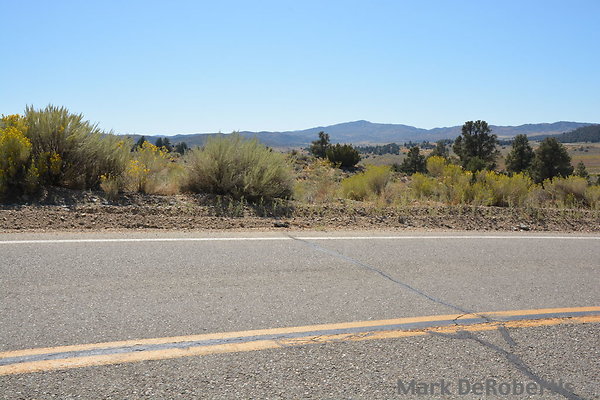 MDR 1316 - 35mm MDR 1316 - 35mm