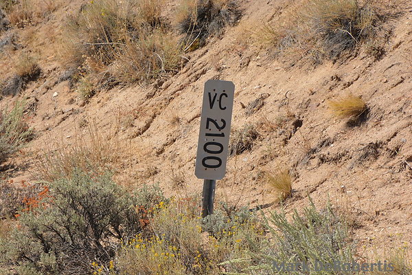 X MDR 1315 X MDR 1315