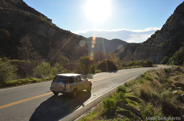 MDR 1922 x MDR 1922 x