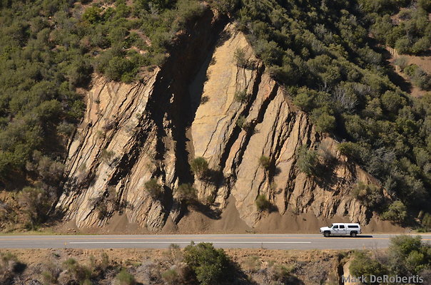 MDR 2906 x MDR 2906 x