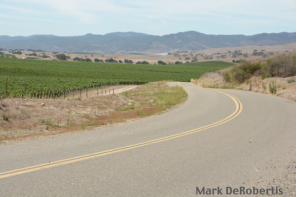 MDR 5570  x MDR 5570  x