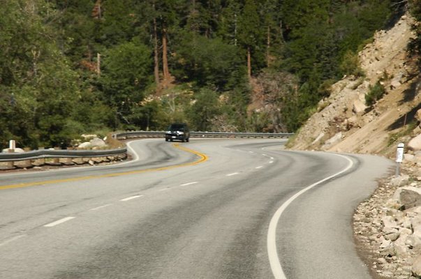 DSC 0193 x DSC 0193 x