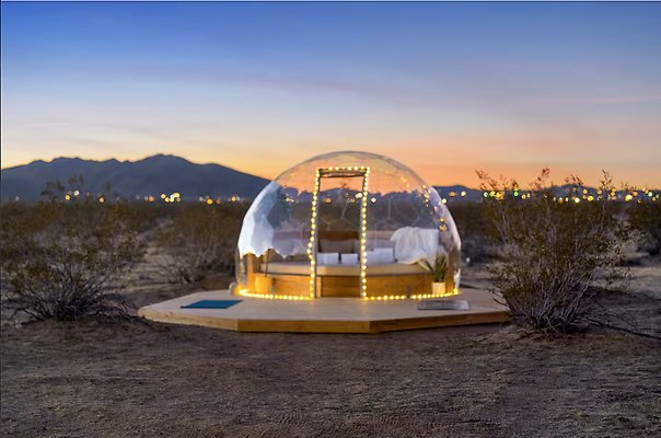 Screenshot 2025-08-28 at 11.48.49 AM