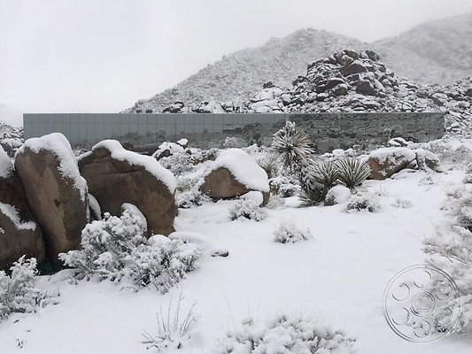 joshua-tree-9 image 21