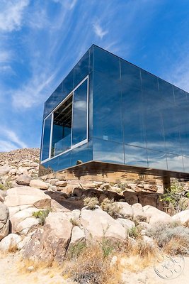 joshua-tree-9 image 2