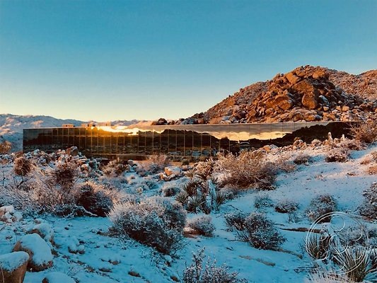 joshua-tree-9 image 22