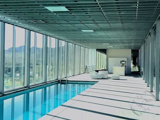 joshua-tree-9 image 31