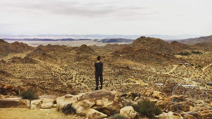 joshua-tree-9 image 23