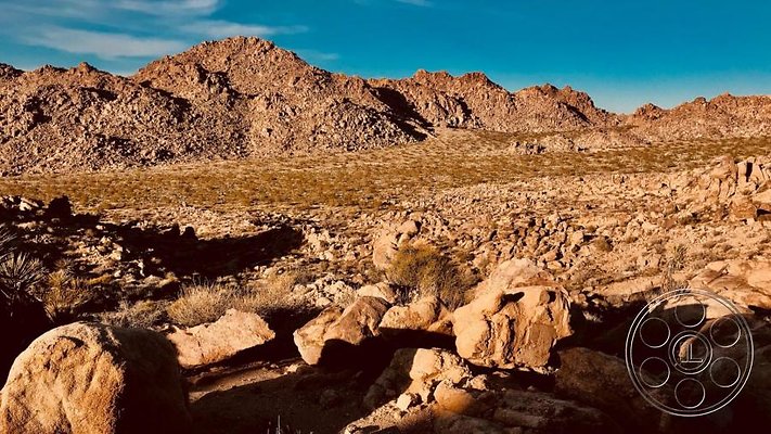 joshua-tree-9 image 25