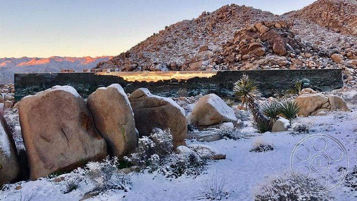 joshua-tree-9 image 20