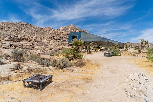 joshua-tree-9 image 8