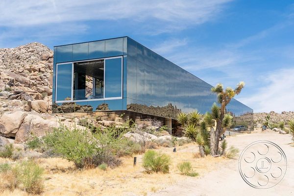 joshua-tree-9 image 3